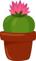 Cactus with a pink flower, illustration, vector on a white background.