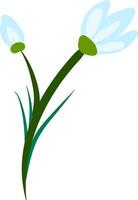 Snow drop flat, illustration, vector on white background.