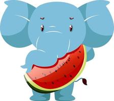 Elephant with watermelon, illustration, vector on white background.