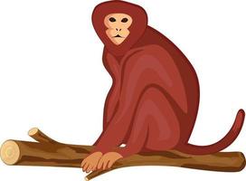 Monkey on a branch ,illustration, vector on white background.