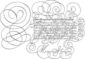 Writing example with capital Y, vintage illustration. vector