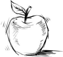 Apple sketch, illustration, vector on white background.