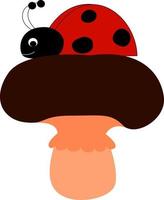 Ladybug standing on mushroom, illustration, vector on white background.