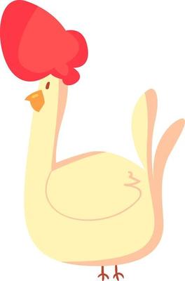 Chicken, illustration, vector on white background.
