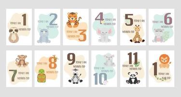 tarjeta de hito de bebé recién nacido. tarjetas de hitos para bebés con animales de safari: jirafa, elefante, tigre, hipopótamo, panda, koala, perezoso, rinoceronte, tortuga, león, cebra y mono. 1-11 meses y 1 año. vector