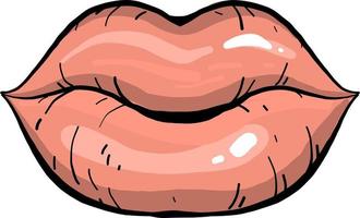 Juicy lips, illustration, vector on white background.