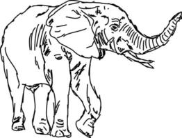 Elephant drawing, illustration, vector on white background.