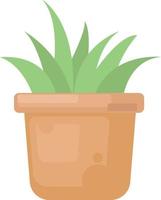 Cactus in pot, illustration, vector on white background