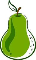 Pear drawing, illustration, vector on white background