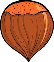 Interesting chestnut, illustration, vector on a white background.