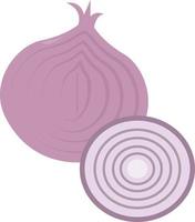 Purple onion, illustration, vector on white background.