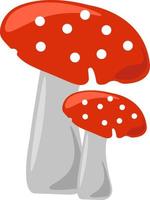 Mushrooms, illustration, vector on white background.