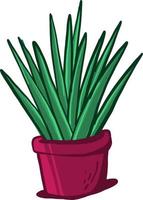 Yucca in pot , illustration, vector on white background