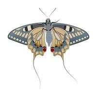 mariposa con cola aislada en un fondo blanco. vista desde abajo. alas grandes con un patrón hermoso y colas delgadas en la espalda. eps10 vectoriales. vector