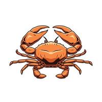 red crab vector on white background