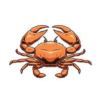 red crab vector on white background