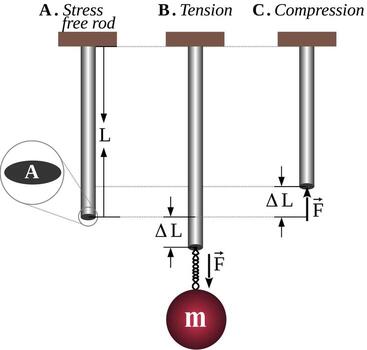 Young's modulus is a measure of the stiffness of a material. It is equal to the ratio between the stress experienced by an object and the corresponding elastic deformation under load along an axis vector