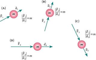 Newton's Second Law of motion or Fundamental principle of dynamics vector