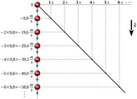 Free Fall - Velocity vs.Time Graphs vector