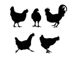 Set of Chickens Silhouette Isolated on a white background - Vector Illustration