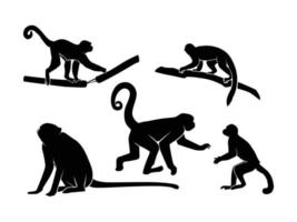 Set of Monkeys Silhouette Isolated on a white background - Vector Illustration