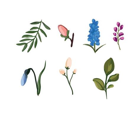 Collection of Flowers