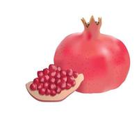 Vector illustration of Realistic Pomegranate