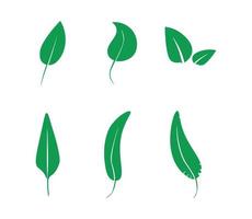 Collection of Green Leaves vector