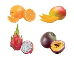 Set of Realistic Fruits vector