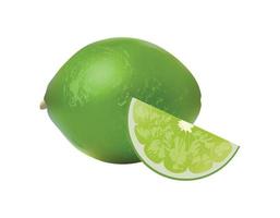 Vector illustration of Realistic key lime