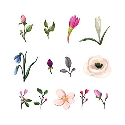 Collection of Flowers