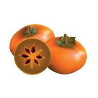 Vector illustration of Realistic persimmon