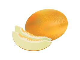 Vector illustration of Realistic melon