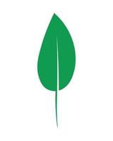 ilustración vectorial de hojas verdes vector
