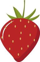 Red strawberry, illustration, vector on white background.