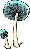 Two mushrooms, illustration, vector on white background.