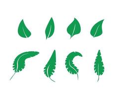 Collection of Green Leaves vector