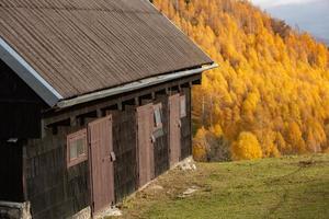 Colorful autumn landscape in the mountain village. Foggy morning in the Carpathian Mountains in Romania. Amazing nature. photo