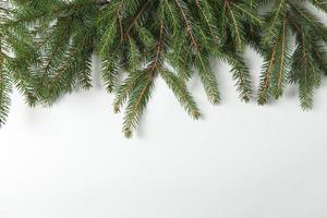 New Year's Eve background with fir branch and cones. Christmas and New Year holidays composition of pine tree branches. photo