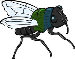 pequeño insecto mosca , ilustración, vector sobre fondo blanco