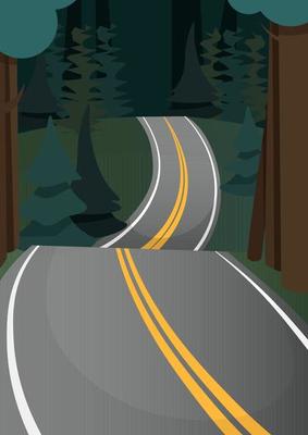 A gray road with two yellow stripes in the middle of a dark green forest with fir trees
