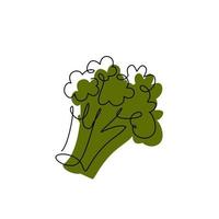 Broccoli black contour drawing with abstract color spot. Green cabbage minimalist silhouette. Continuous vegetable concept design. Green plant hand drawn one line flat vector illustration isolated