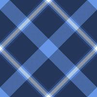 Plaid pattern vector. Check fabric texture. Seamless textile design for clothes, paper print. vector