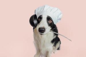 Funny puppy dog border collie in chef cooking hat holding kitchen spoon ladle in mouth isolated on pink background. Chef dog cooking dinner. Homemade food restaurant menu concept. Cooking process. photo