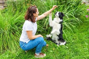 Smiling young attractive woman playing with cute puppy dog border collie in summer garden or city park outdoor background. Girl training trick with dog friend. Pet care and animals concept. photo