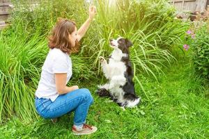 una joven y atractiva mujer sonriente jugando con un lindo cachorro border collie en el jardín de verano o en el parque de la ciudad al aire libre. truco de entrenamiento de chicas con un amigo perro. cuidado de mascotas y concepto de animales. foto