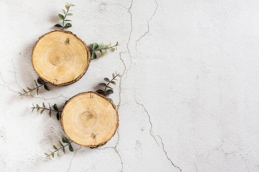 Two empty cuts of a tree and a branch of eucalyptus on a gray background. Top view photo