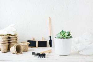 Succulent in a pot and tools for transplanting plants on a white wooden table photo