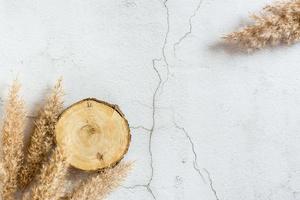 árbol cortado vacío y orejas secas sobre un fondo gris. vista superior. plantilla ecológica foto