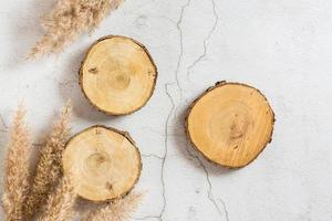 tres cortes de un árbol y orejas secas sobre un fondo gris. vista superior. plantilla ecológica foto